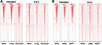 Targeting the Transcriptome Through Globally Acting Components